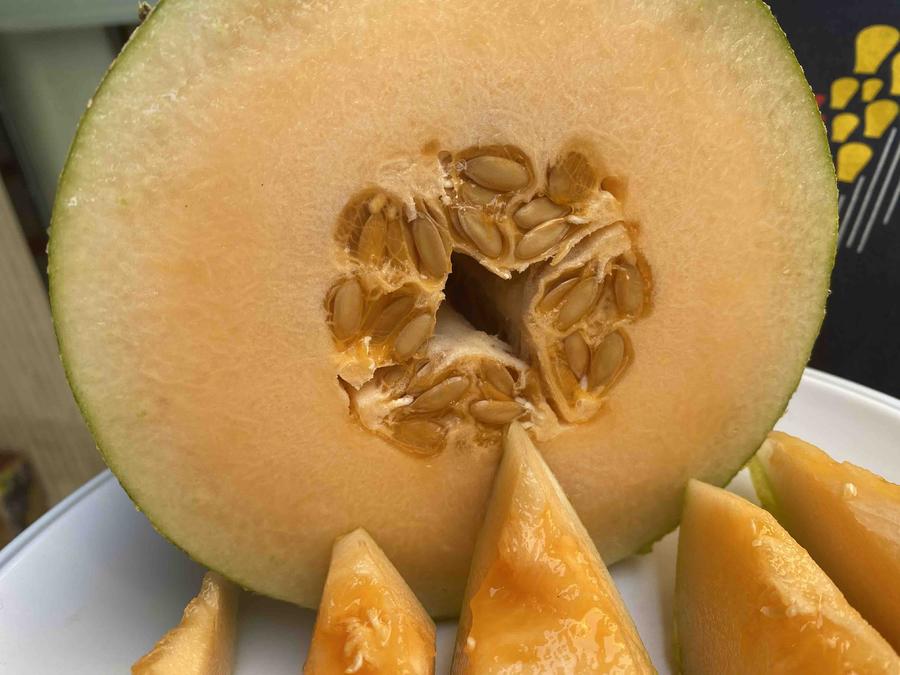 现摘发货,新疆八六王蜜瓜,蜜瓜中的极品.