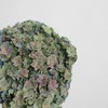 秋绣球 可以做干花的品种 商品缩略图1