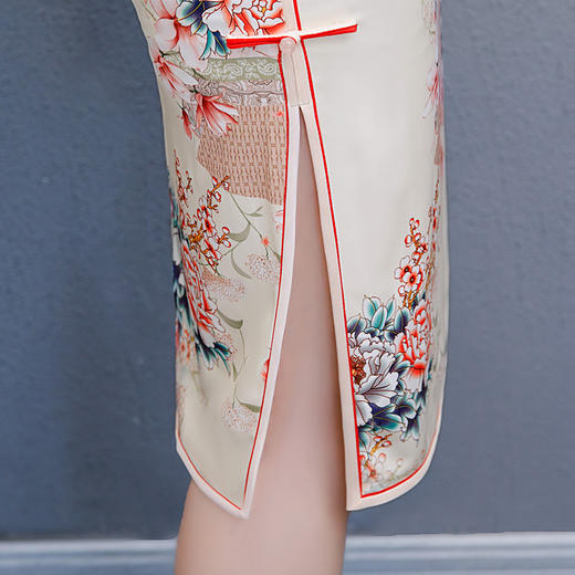 MQ-QP1480夏季中国风复古旗袍TZF 商品图4