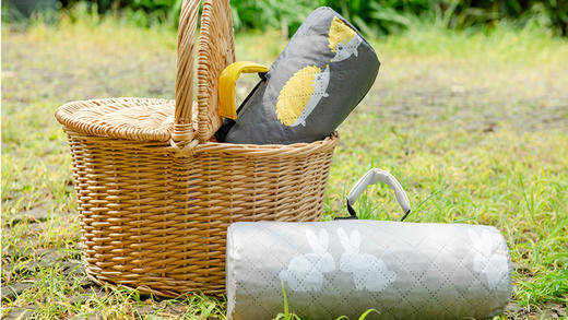 野餐垫 德国nmay多用途野餐垫防水便携安全含收纳包 140*200cm 商品图5