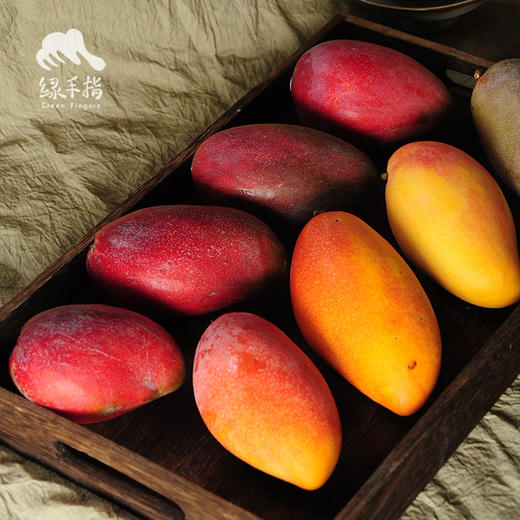 有机丽江芒果 | 合作生产 *Organic- mango | Coproduction 商品图0