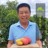 生态芒果干 | 合作生产 *Eco- Dry mango | Coproduction 商品缩略图1