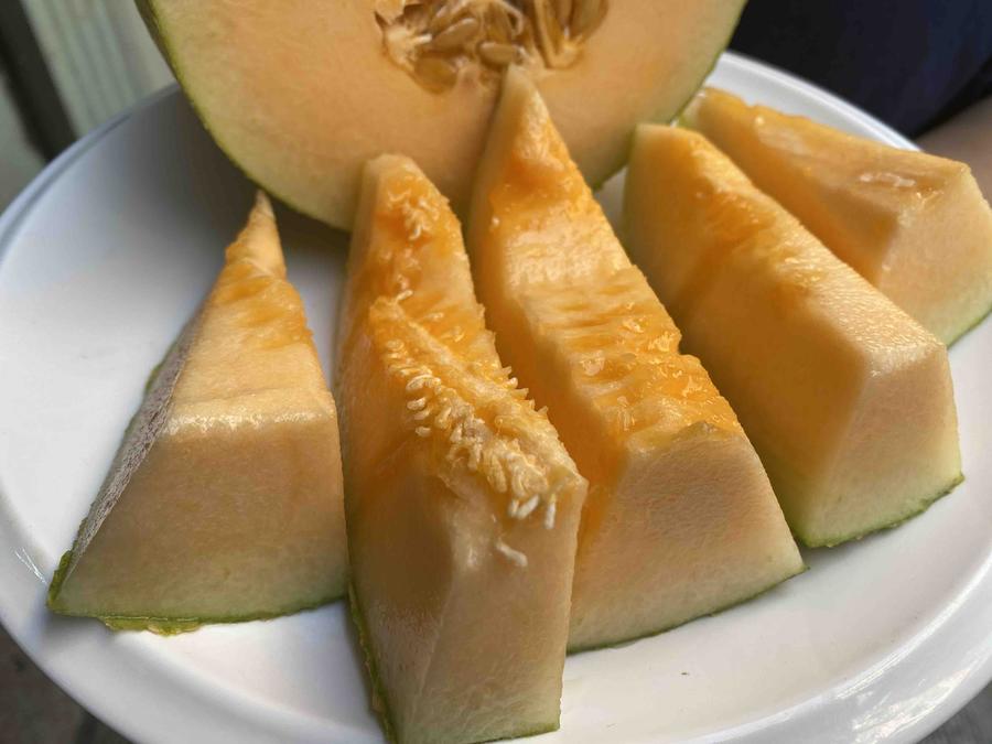 现摘发货,新疆八六王蜜瓜,蜜瓜中的极品.