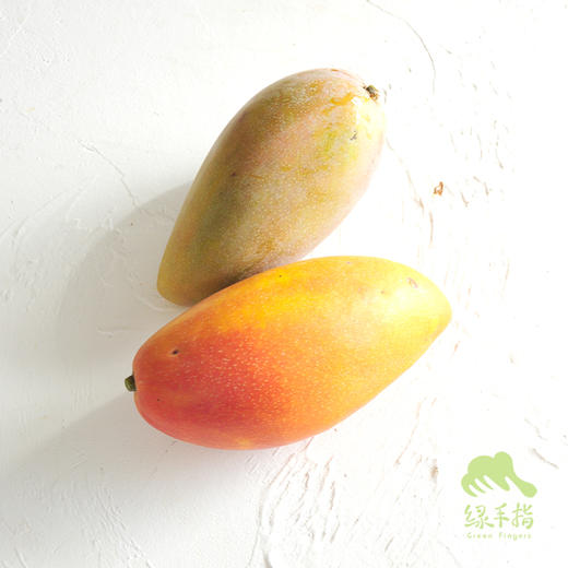 有机丽江芒果 | 合作生产 *Organic- mango | Coproduction 商品图6
