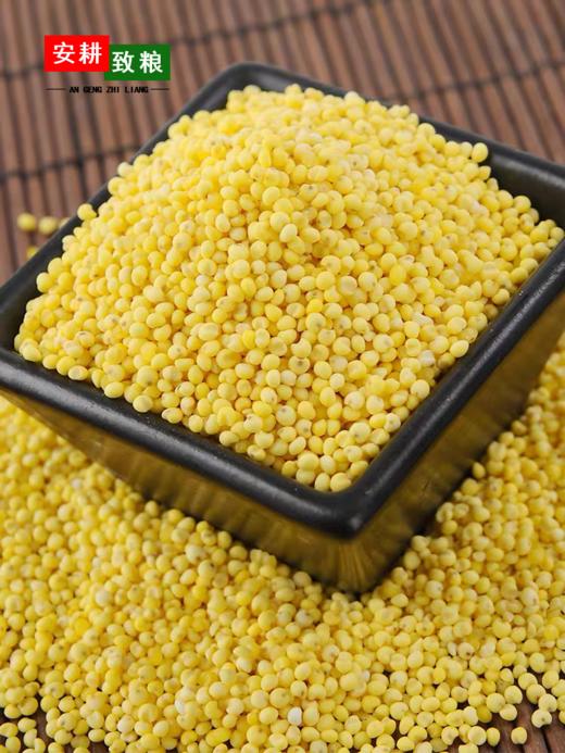 安耕致粮·有机大黄米400g+有机糯米400g 商品图0