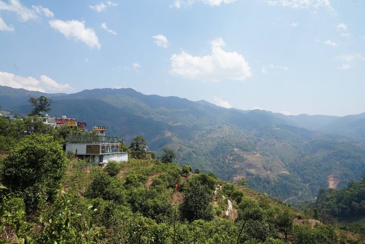 双江勐库冰岛村冰岛老寨