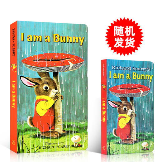 进口原版 I am a Bunny 我是一只兔子 儿童早教启蒙纸板书 送音频 商品图0