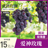 爱神玫瑰葡萄1斤装 商品缩略图0