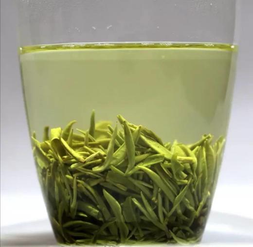 汲明牌一级毛尖100g袋装 商品图1