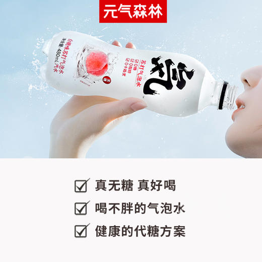 元気森林苏打气泡水0糖0脂0卡系列 商品图1