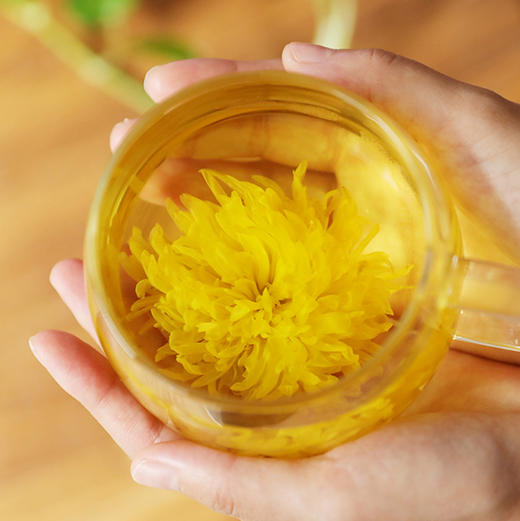 【两当特产】金丝皇菊18小盒/提 商品图3