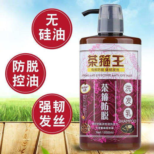 琴叶茶箍王洗发1000ml 商品图5