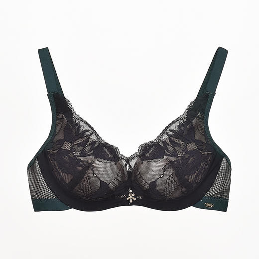 皇家丽美调整型蕾丝文胸性感无钢圈聚拢小胸美背调整型WW917-3 商品图3