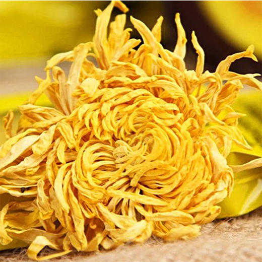 【两当特产】金丝皇菊18小盒/提 商品图1