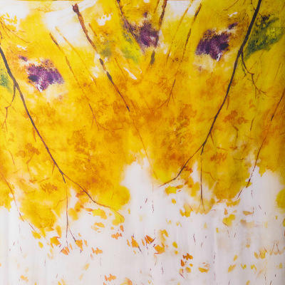 WW1054印花桑蚕丝大丝巾薄款遮阳防晒披肩【限量】 商品图4