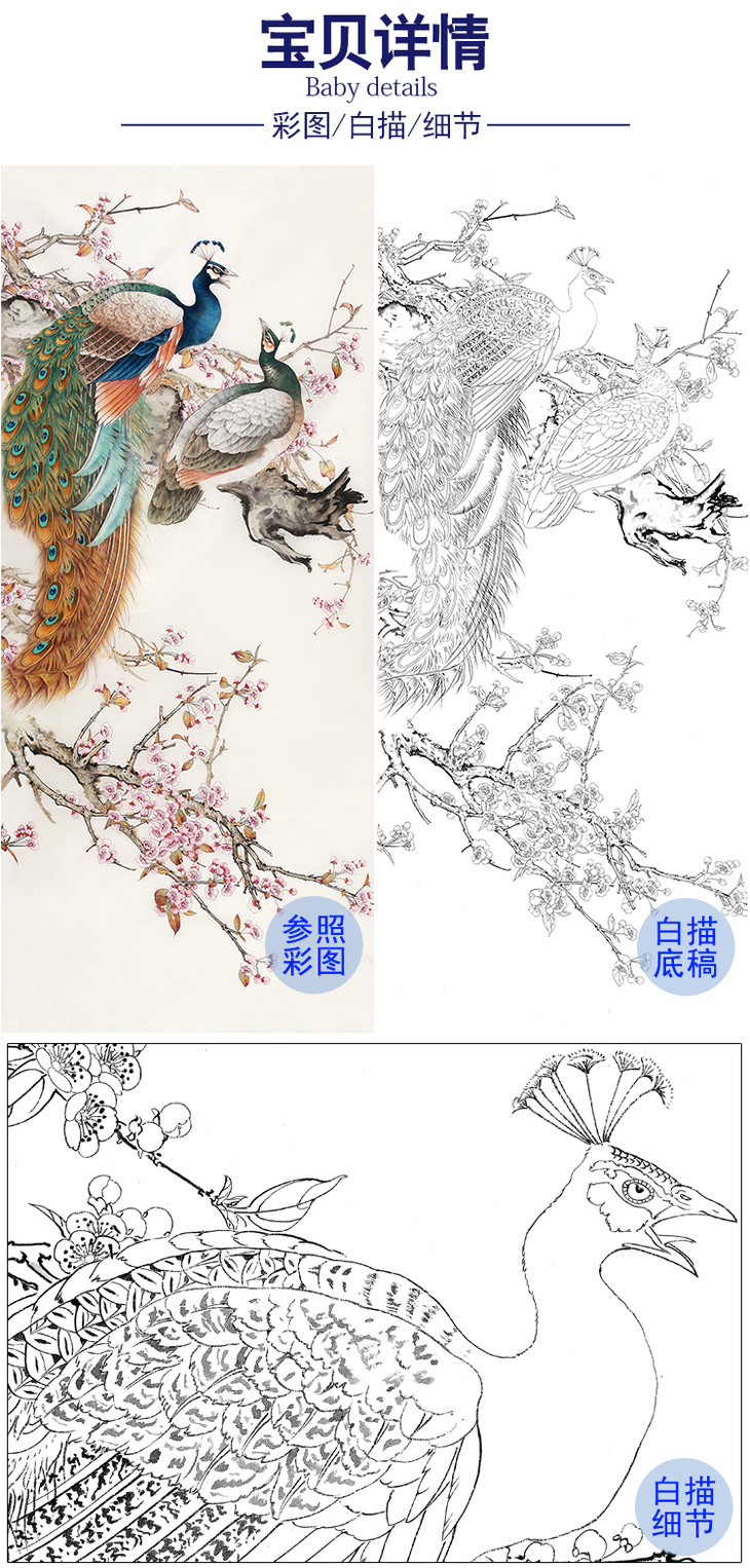 陈军工笔白描底稿孔雀花鸟图多种白描尺寸可选cj49