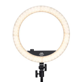 永诺  YN408美颜补光灯LED美妆环形灯直播摄影灯网红抖音主播外拍灯