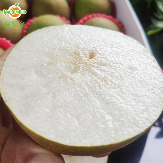 上海蜜梨9只约65斤箱