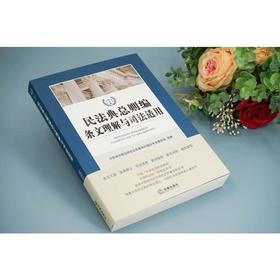 民法典总则编条文理解与司法适用