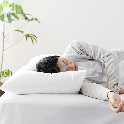 良品汇馆 | 日式酒店单边枕 高品质 48*74CM（单个装） 商品图6