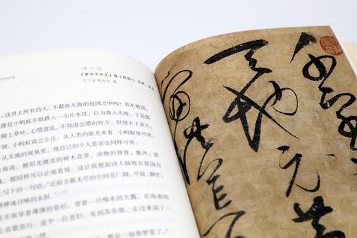 在故宫寻找苏东坡  祝勇 著  文学 商品图2