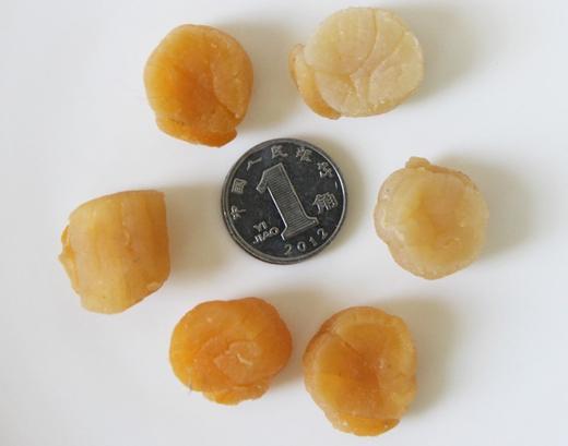 港岛姑娘 精选扇贝肉淡干瑶柱干贝海鲜干货宝宝扇贝柱肉元贝 220g/盒活冻 商品图1