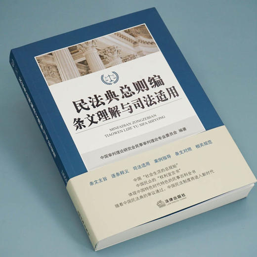 民法典总则编条文理解与司法适用 商品图1