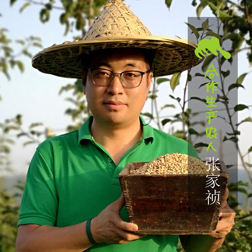 生态绿豆  | 合作生产* Eco- green bean  | Coproduction 商品图1