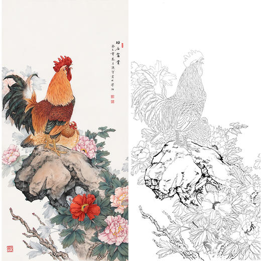 陈军竖幅工笔花鸟白描底稿功名富贵雄鸡公鸡花鸡图多种白描尺寸可选cj