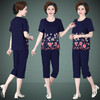SP-9258中年妈妈夏装2020新款老年人运动套装女中老年女装两件套 商品缩略图1