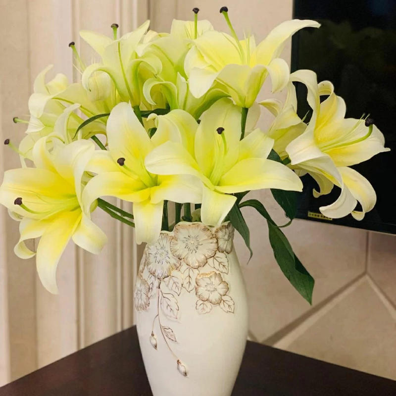 百合花 好看耐养的百合花 红 粉 白 黄多色可选 百合具有百年好合美好家庭