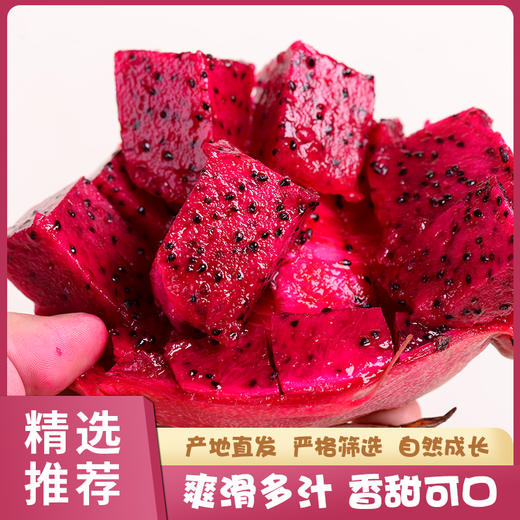 云南红心火龙果爽滑多汁皮薄肉多果肉细腻营养丰富5斤装包邮