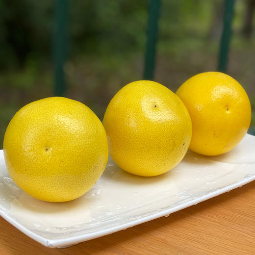 南非柠檬水晶柚好水好嫩好香完美清体果子4只