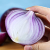 现挖云南紫皮洋葱 新鲜洋葱头 5斤/9斤 农家当季蔬菜红皮小圆葱 商品缩略图2