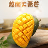 【广西仓发货】越南香甜大青芒  新鲜水果 （黄皮青皮随机） 商品缩略图0