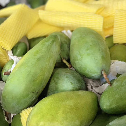 【广西仓发货】越南香甜大青芒  新鲜水果 （黄皮青皮随机） 商品图2