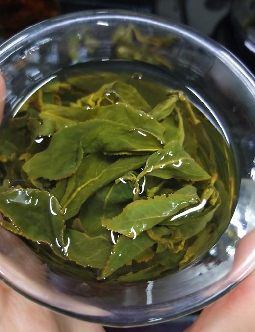 【茶馆茶叶】【金露香萱】梨大高冷茶（小众茶）丨梨山高冷茶跟大禹岭高冷茶的结合款 商品图1