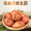 【云南·昆明】红皮黄心粉糯小土豆 5斤/9斤装 新鲜农家自种马铃薯洋芋 商品缩略图0