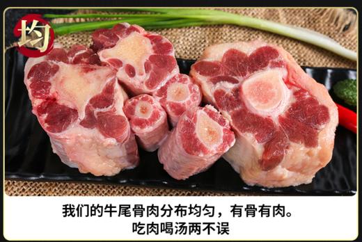 [专场]银蕨牛尾1000g 商品图1