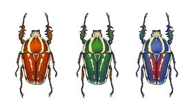 02 神奇的蛋的调查笔记