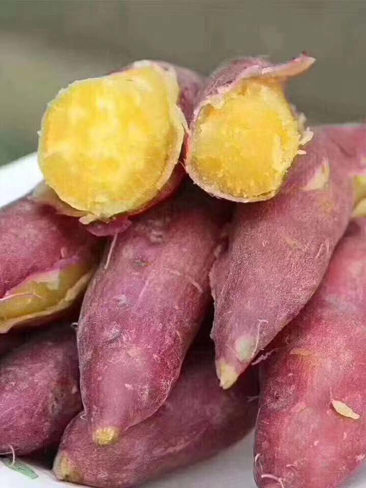 香甜软糯  小香薯红薯 软糯香甜板栗薯山芋地瓜番薯