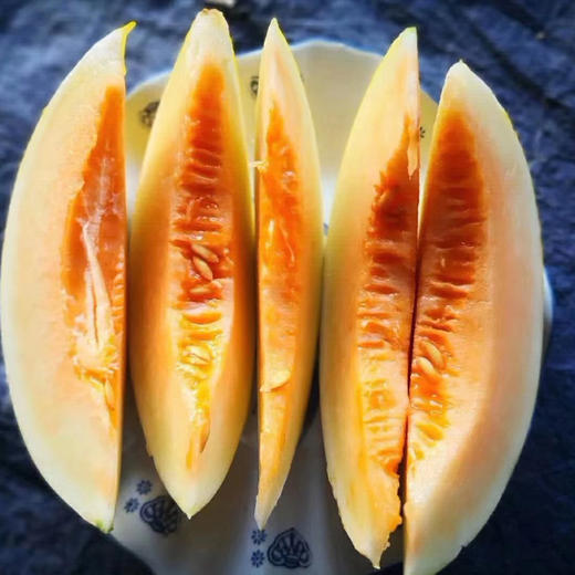 【新品上市】甘肃民勤沙漠金红宝蜜瓜 当季黄河蜜脆甜瓜 新鲜水果哈密香瓜 商品图4