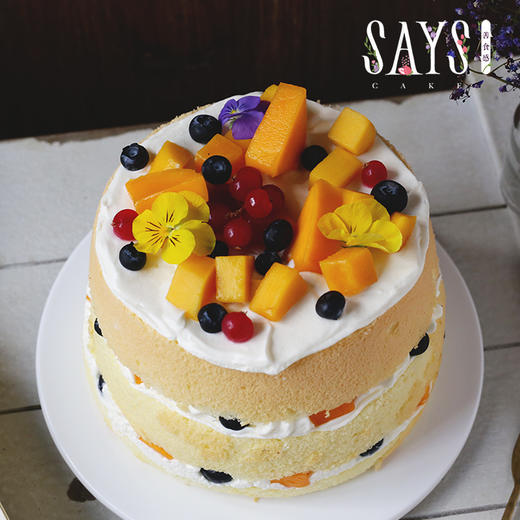 【历史商品】灌木丛之歌 商品图3