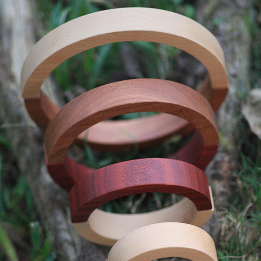 木玩世家爱木太极 大块积木玩具进口木制益智儿童玩具礼物i4008 商品图3