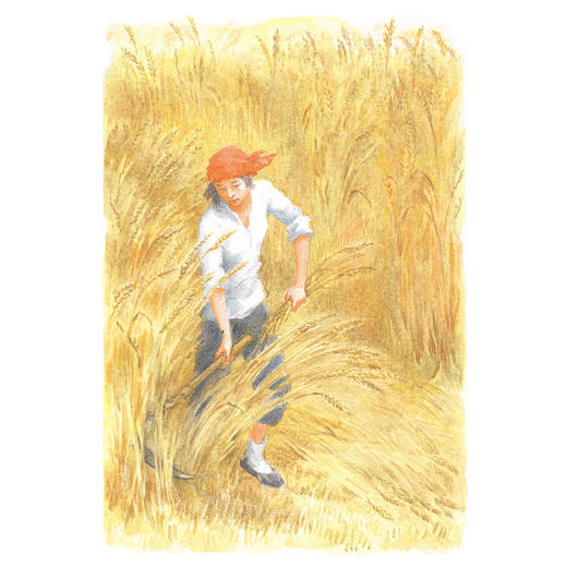 细米曹文轩经典作品世界著名插画家插图版714岁适读