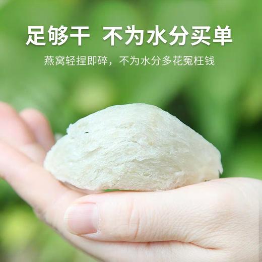 【中国医药】印尼进口燕盏 50g 商品图3