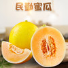 【新品上市】甘肃民勤沙漠金红宝蜜瓜 当季黄河蜜脆甜瓜 新鲜水果哈密香瓜 商品缩略图0