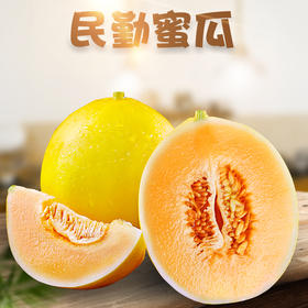【新品上市】甘肃民勤沙漠金红宝蜜瓜 当季黄河蜜脆甜瓜 新鲜水果哈密香瓜