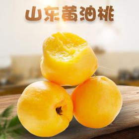 【山东·沂蒙】夏季爆款 蒙阴特产黄金黄油桃  新鲜当季黄金脆甜油桃