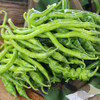 密云农家种植二荆条青辣椒300g 新鲜 当天采摘 微辣特香蔬菜 商品缩略图5
